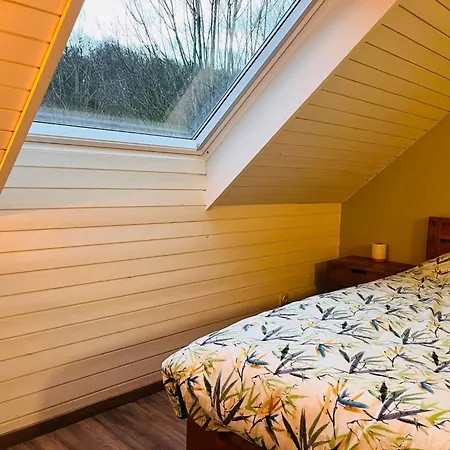 4-guest Cozy In * هوتون